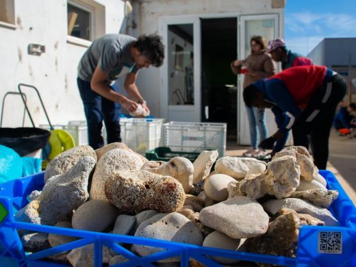 Devuelven a la costa 1.038 kg de arena, fósiles y piedras sustraídas de playas de Menorca