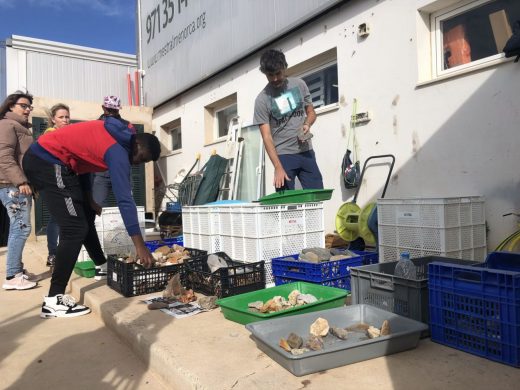 Devuelven a la costa 1.038 kg de arena, fósiles y piedras sustraídas de playas de Menorca