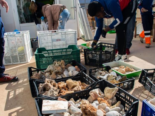 Devuelven a la costa 1.038 kg de arena, fósiles y piedras sustraídas de playas de Menorca