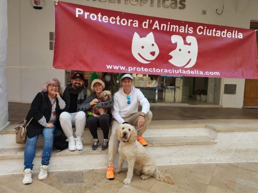 (Fotos) CaniCross Menorca celebra su séptima edición en Ciutadella con una gran participación