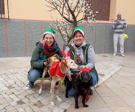 (Fotos) CaniCross Menorca celebra su séptima edición en Ciutadella con una gran participación