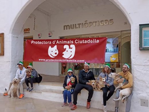 (Fotos) CaniCross Menorca celebra su séptima edición en Ciutadella con una gran participación