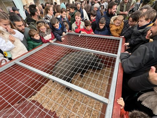 (Fotos y vídeos) Ciutadella revive su historia con los ‘tres tocs’ en el día de Sant Antoni