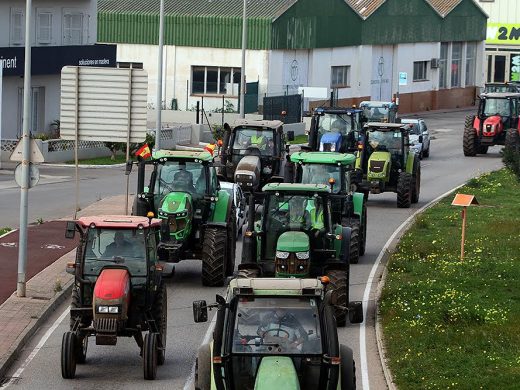 (Fotos) El campo menorquín se moviliza: así ha sido la ‘tractorada’