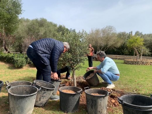 El Aeropuerto de Menorca se suma a la concienciación ambiental con una nueva plantación de árbol.