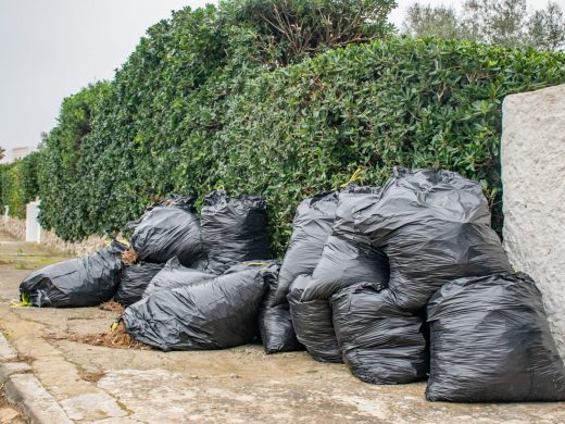 (Fotos) Es Castell y Maó intensifican esfuerzos contra el abandono indebido de restos vegetales