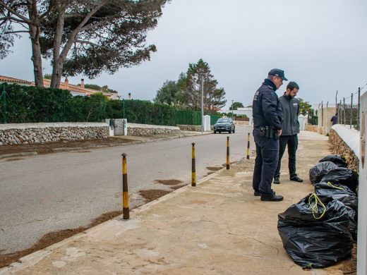 (Fotos) Es Castell y Maó intensifican esfuerzos contra el abandono indebido de restos vegetales