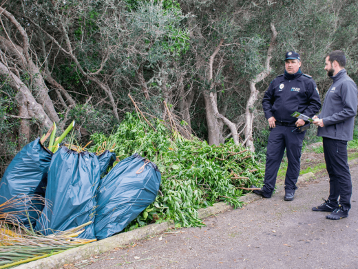 (Fotos) Es Castell y Maó intensifican esfuerzos contra el abandono indebido de restos vegetales