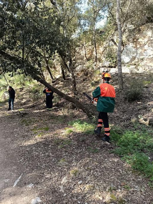 Mantenimiento de accesos a cala en Turqueta y Macarella: