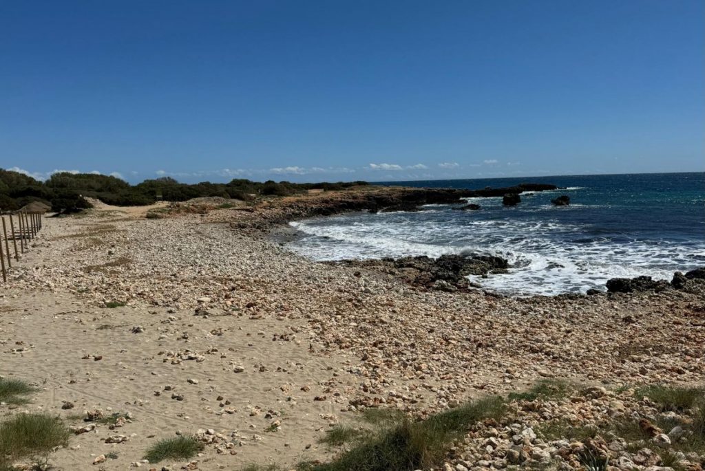 Así está actualmente la playa de Son Xoriguer (Foto: Tolo Mercadal)