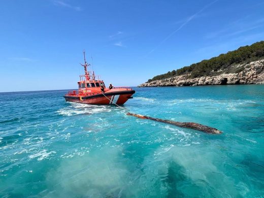 (Fotos) Salvamento Marítimo retira un enorme tronco flotante frente a Binigaus