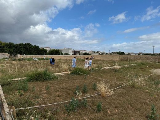 (Fotos) Entrega de 72 huertos urbanos en Camí den Guixó