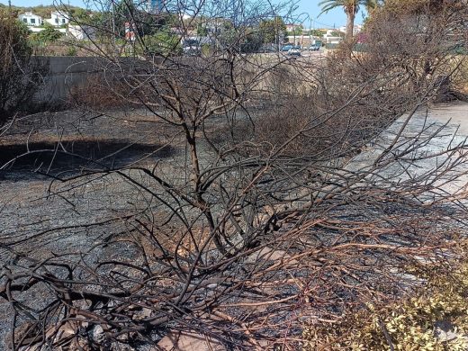 (Fotos) Las consecuencias del incendio en Alaior