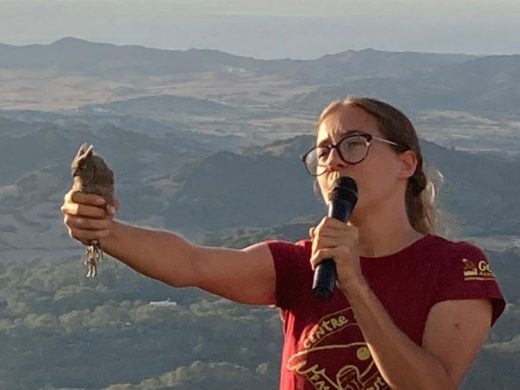 (Vídeo y fotos) El GOB libera 8 autillos desde Monte Toro