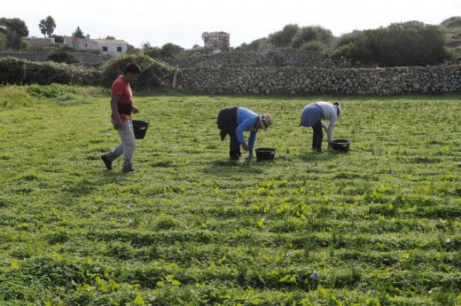 AGRAME solicita máxima coordinación para reparar los daños de la DANA en Menorca.