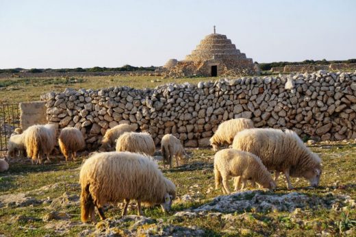 Crece la lengua azul en Mallorca, pero Menorca no registra nuevos focos.