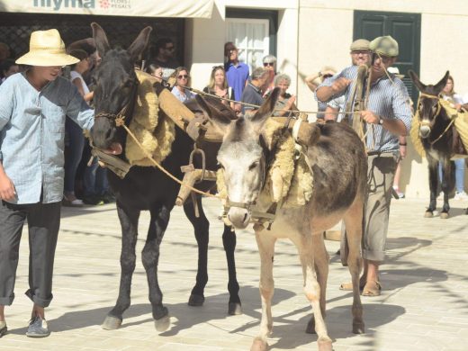 (Fotos) Es Migjorn celebra el Sant Miquel payés