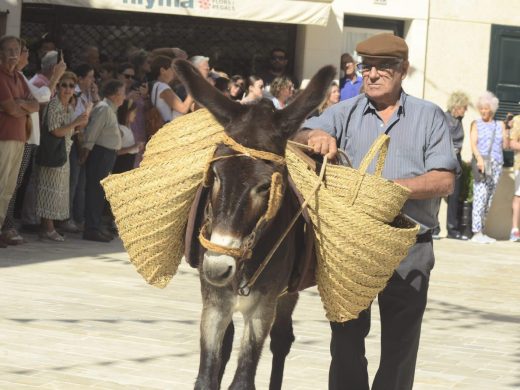 (Fotos) Es Migjorn celebra el Sant Miquel payés