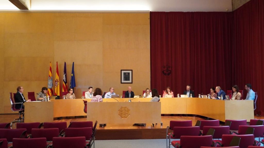 Pleno del Consell de Menorca