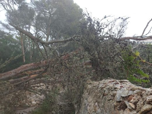 (Fotos) Las lluvias torrenciales y el fuerte viento dejan pequeños incidentes en la isla