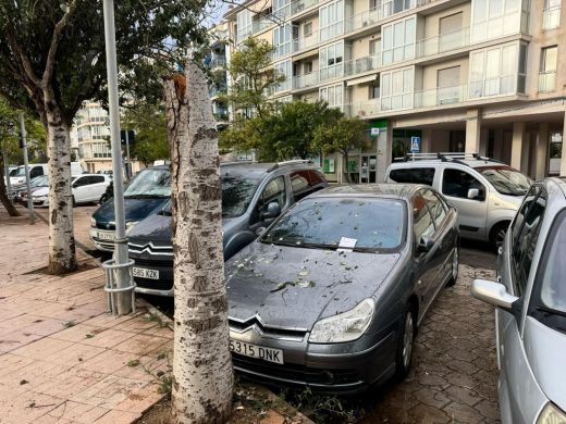 (Fotos) Las lluvias torrenciales y el fuerte viento dejan pequeños incidentes en la isla