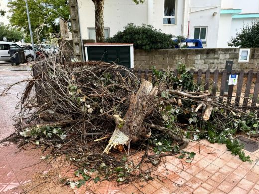 (Fotos) Las lluvias torrenciales y el fuerte viento dejan pequeños incidentes en la isla