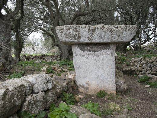 Taula en un paisaje boscoso