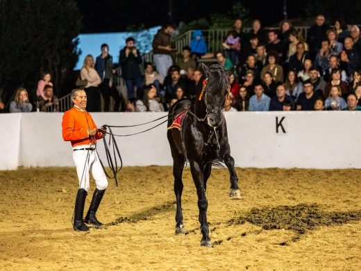 (Fotos) Caballos, música y tradición: así fue el 25 aniversario de la Escola Eqüestre Menorquina