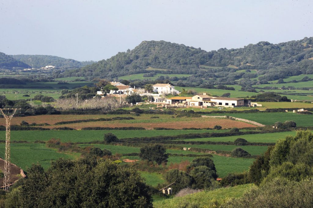 Fincas agrícolas.