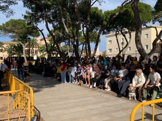 (Fotos) Ciutadella promueve la adopción de perros