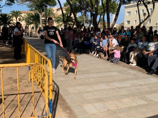 (Fotos) Ciutadella promueve la adopción de perros