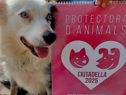 (Fotos) Ciutadella promueve la adopción de perros