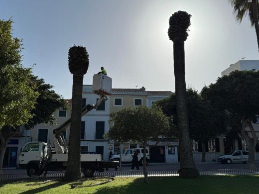 (Fotos) Finaliza el derribo de los antiguos quioscos de s’Esplanada