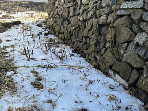 (Fotos) La granizada nocturna deja restos visibles en varios puntos de Menorca