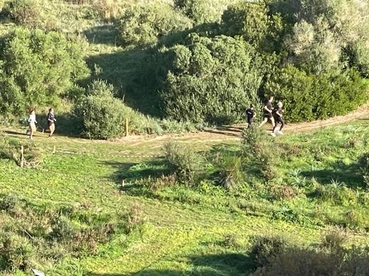 (Fotos) Más de 200 atletas en el cross de Santa Eularieta