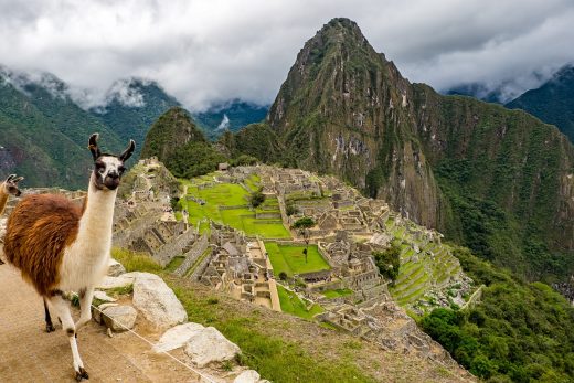 "Los peruanos sienten que deben Amar a la madre tierra, la Pachamama y todos los frutos que de ella obtienen, porque solo de esta manera podrán recibir de ella su beneplácito".