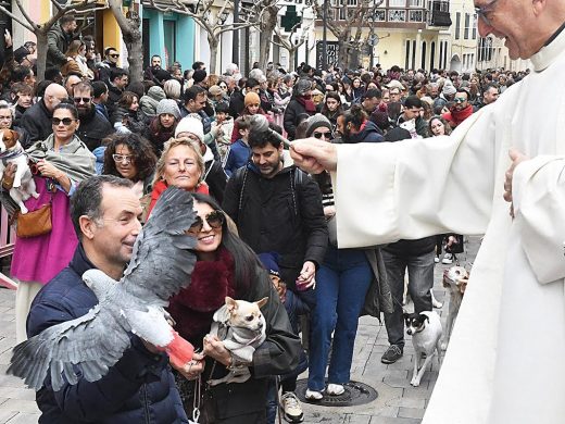 (Fotos) Maó celebra con pasión y multitudinaria participación las ‘beneïdes’