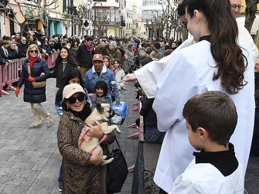 (Fotos) Maó celebra con pasión y multitudinaria participación las ‘beneïdes’