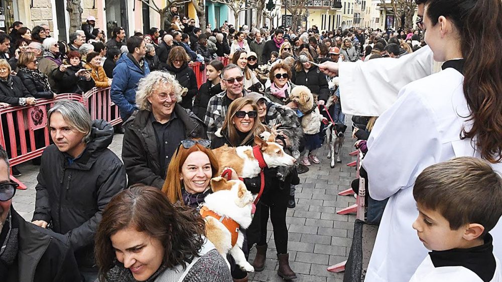 Sant Antoni 2025.