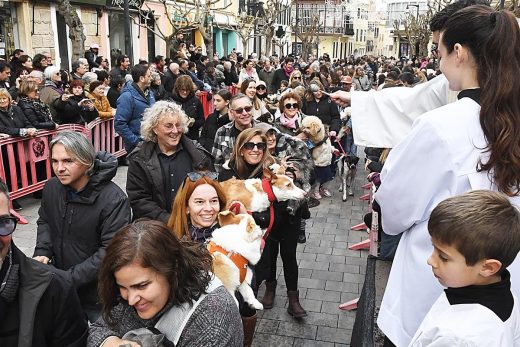 (Fotos) Maó celebra con pasión y multitudinaria participación las ‘beneïdes’