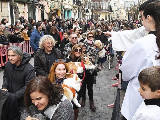 (Fotos) Maó celebra con pasión y multitudinaria participación las ‘beneïdes’