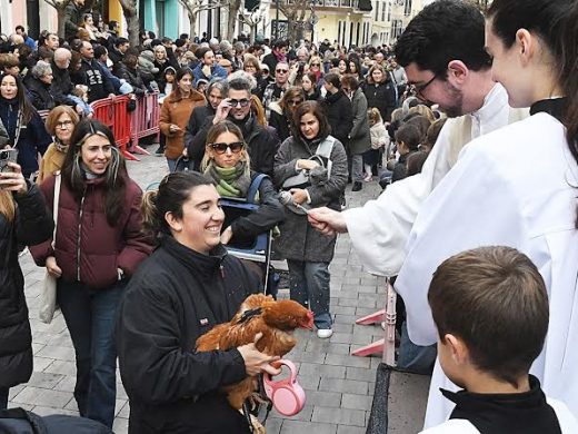 (Fotos) Maó celebra con pasión y multitudinaria participación las ‘beneïdes’