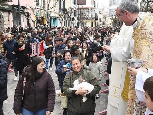 (Fotos) Maó celebra con pasión y multitudinaria participación las ‘beneïdes’