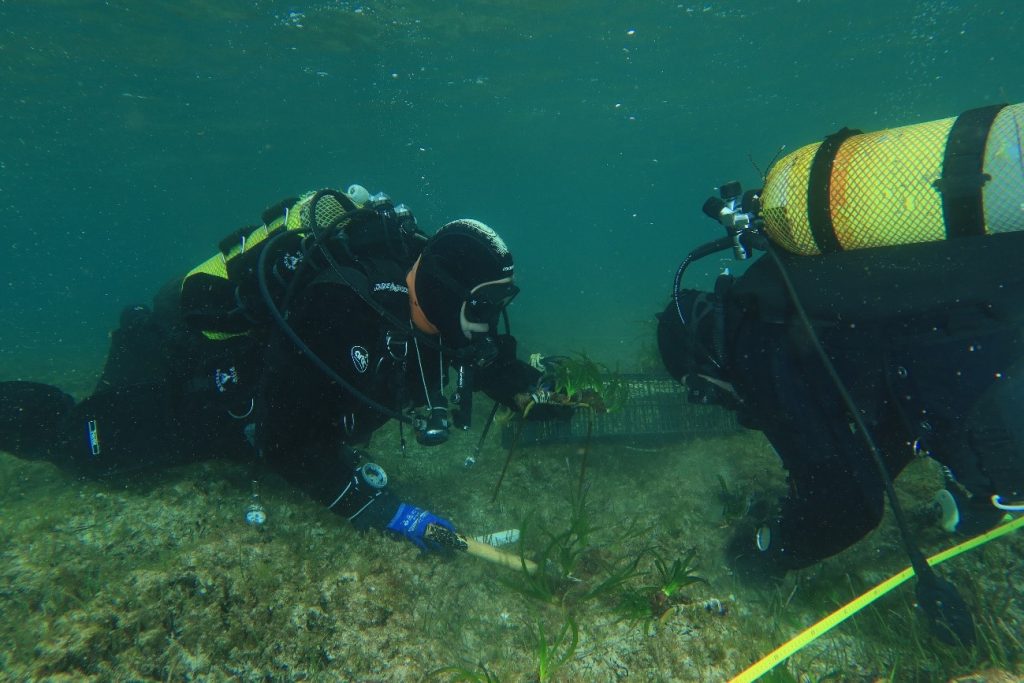 El proyecto ayudará a preservar la biodiversidad mediterránea.