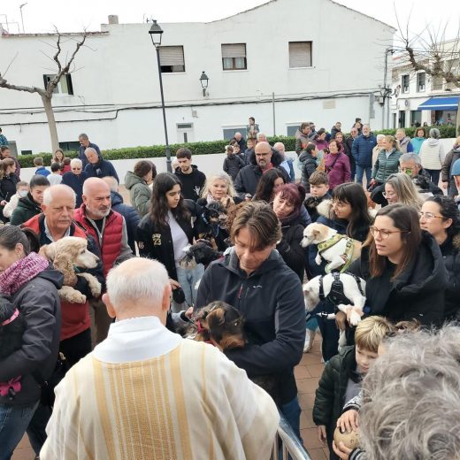 Bendición de animales.