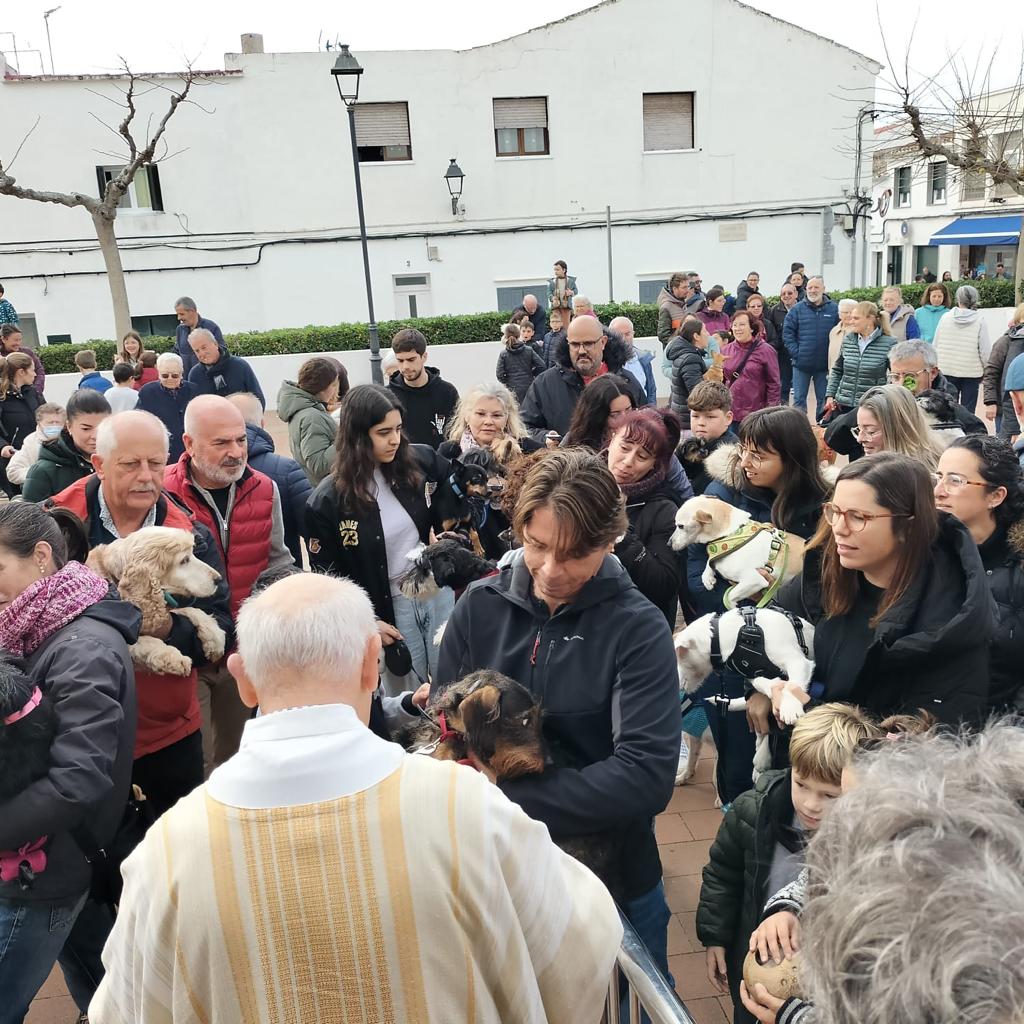 Bendición de animales.