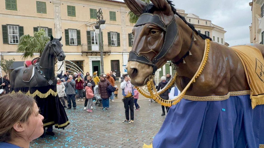 Mulassa y caballo.