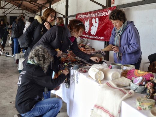 (Fotos) La gran fiesta del podenco