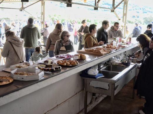 (Fotos) La gran fiesta del podenco