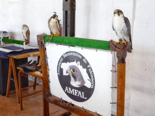 (Fotos) El buen tiempo anima la Fira de la Perdiu en Es Mercadal